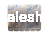 V040234025010.png