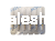 V041236031020.png
