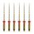 protaper ultilate F2 25mm.jpg